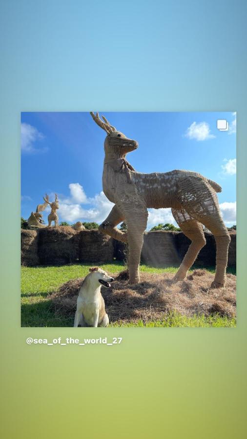 海中天旅店 Sea Of The World B&B Kenting-Nationalpark Exterior foto